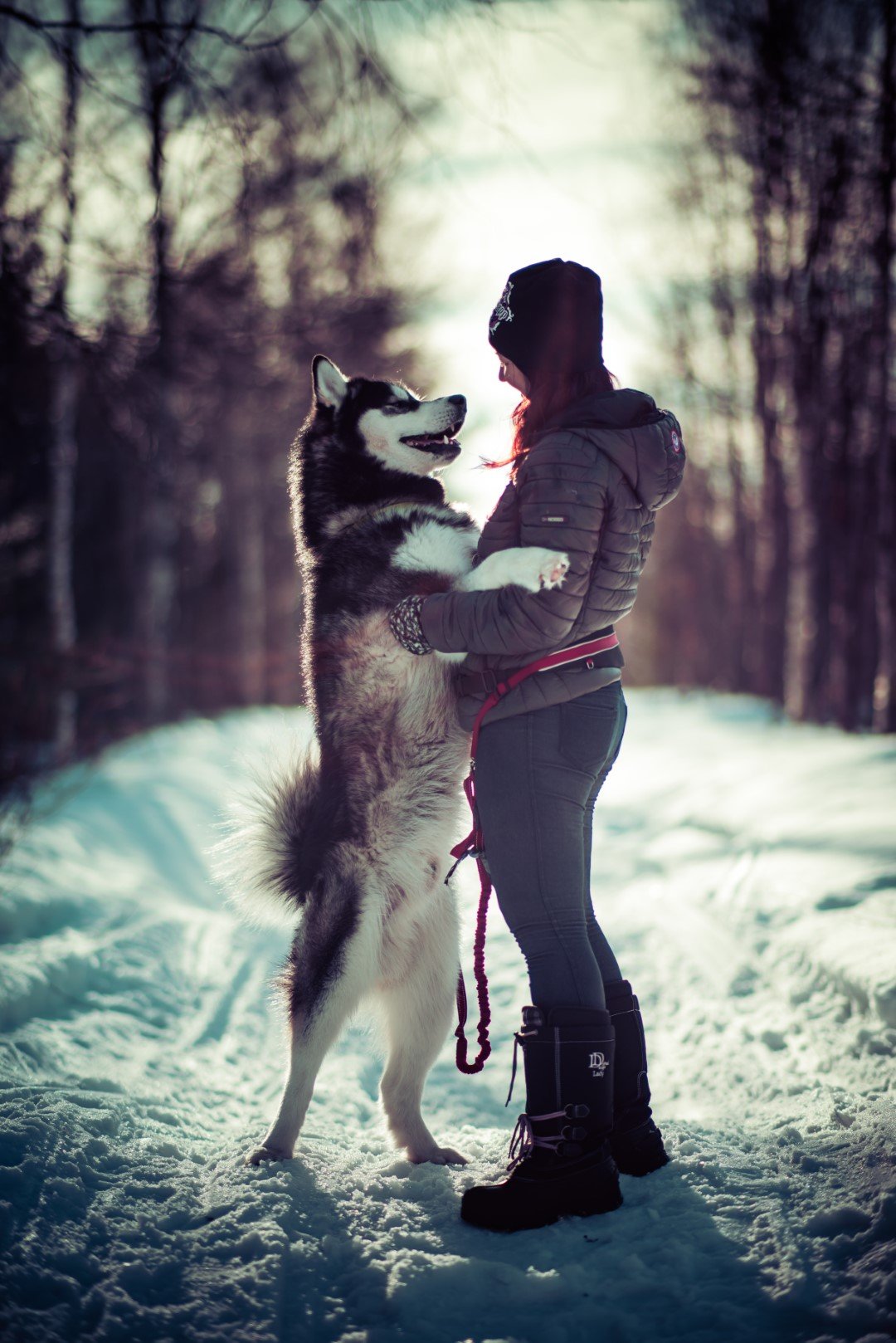 85mm F1.4 AF High Speed Full Frame Telephoto (Nikon F)