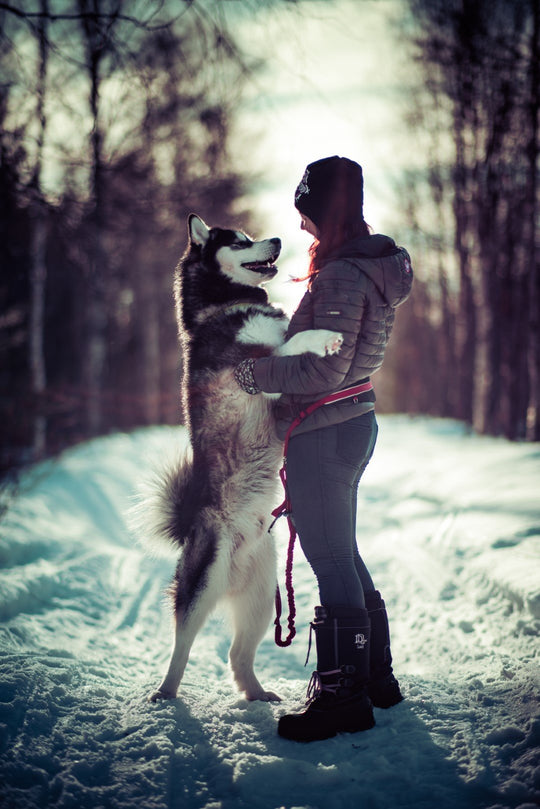 85mm F1.4 AF High Speed Full Frame Telephoto (Nikon F)