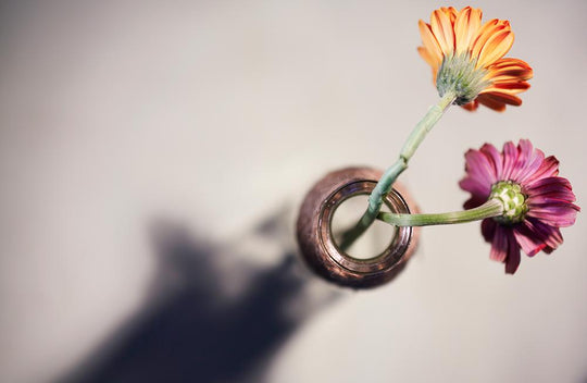 50mm F1.4 Full Frame High Speed