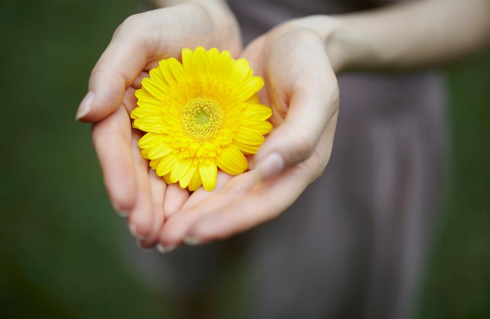 50mm F1.4 Full Frame High Speed