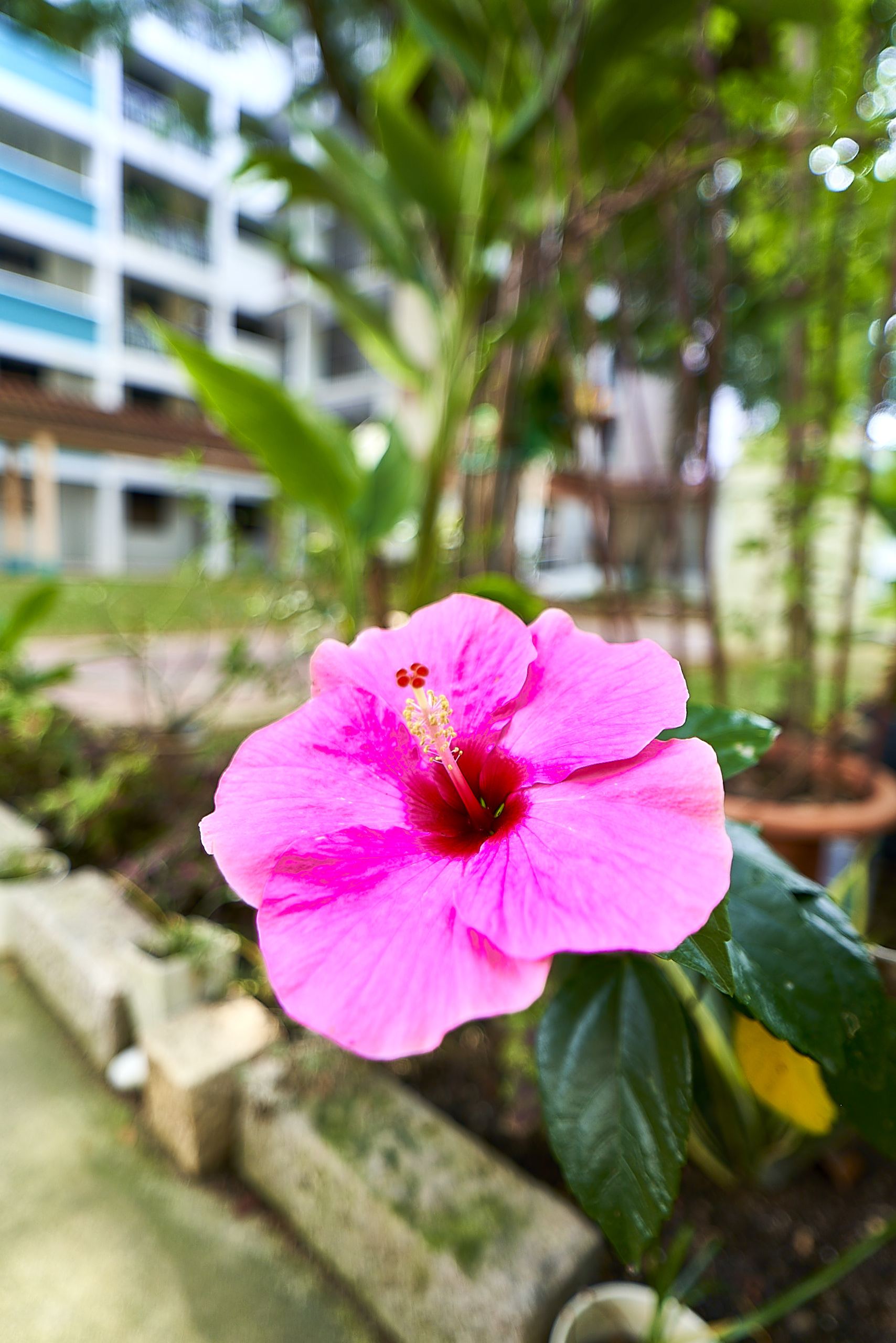 18mm F2.8 AF Compact Full Frame Super Wide Angle with Lens 18mm F2.8 AF Compact Full Frame Super Wide Angle with Lens