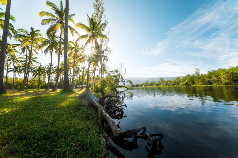 10mm F3.5 XP Full Frame (Canon EF with Automatic Chip)